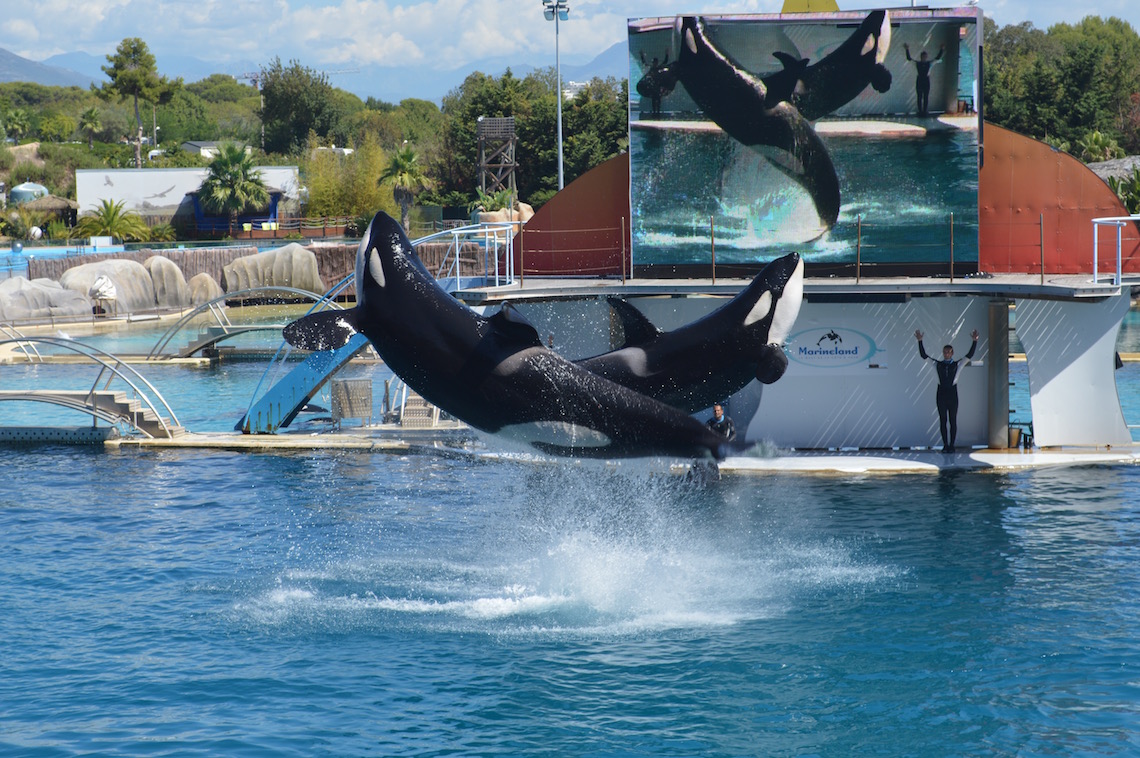 Marineland